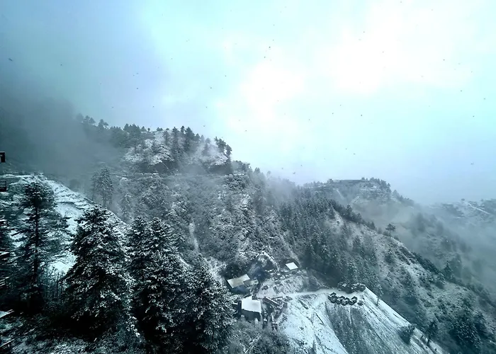 Hotel Apple Inn Shimla